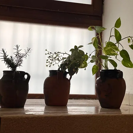 Appartamento Stella Del Barocco *