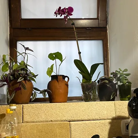 Apartamento Stella Del Barocco