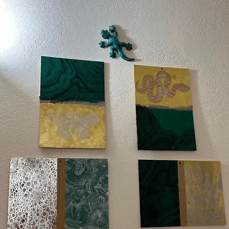 Stella Del Barocco *